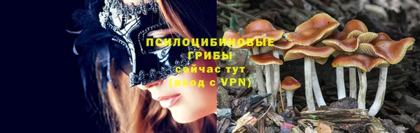 гашишное масло Беломорск