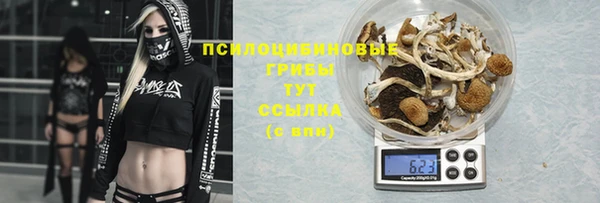 Альфа ПВП Белокуриха