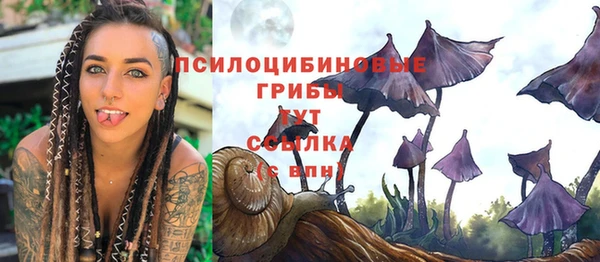 Альфа ПВП Белокуриха