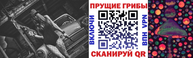 Галлюциногенные грибы Psilocybine cubensis  Горячий Ключ 